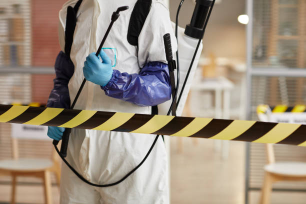 Professional Sewage Cleanup technician working in Forest, VA