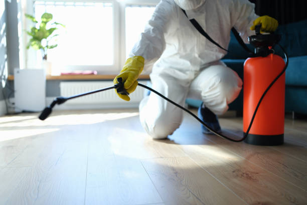 Reliable Sewage Cleanup contractor in Forest, VA by Trauma Clean Pros